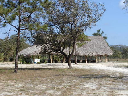 Thach roof